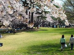 　桜は見事に満開で、そろそろ散り始めるかという時期。花見客が多かった。