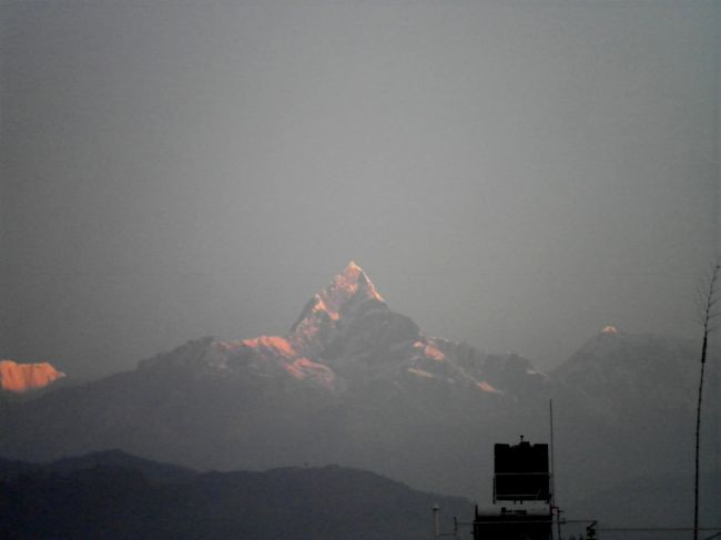 ポカラ人に「神の山」とあがめられるマチャプチャレを眺める。 