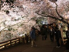 「桜雲橋」を渡って本丸へ突撃！！