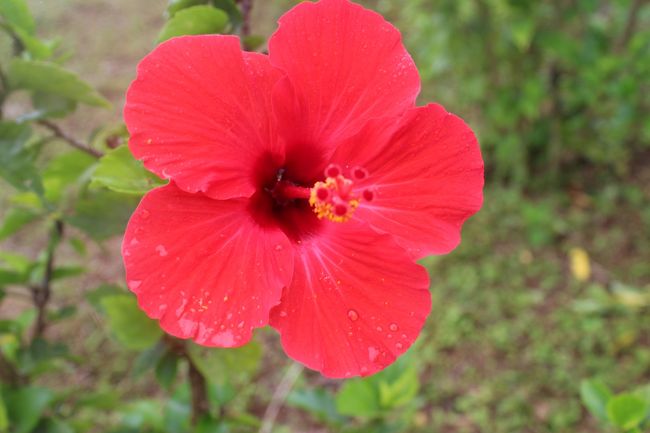 この後は「明石食堂」に行く予定でしたが、さすがに早すぎる。<br />後に行く予定だった玉取崎展望台を先に行く事に。