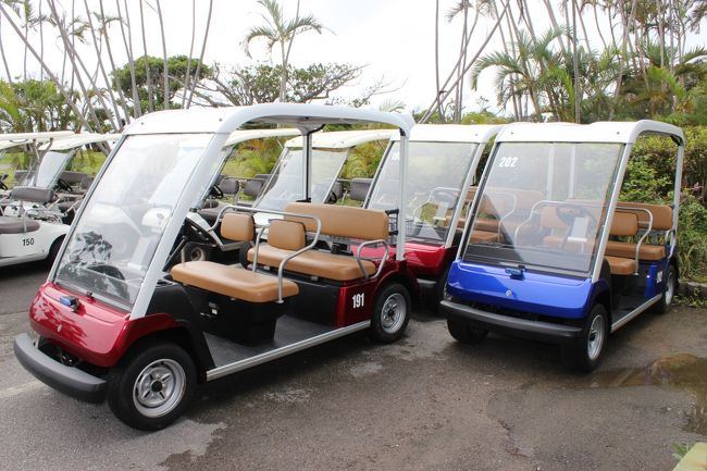 部屋の用意はできてないようですからカートで一回りです。<br />大好きなカート。<br />3部屋分ついてるので3台。もちろん新しいカートで＾＾<br /><br />