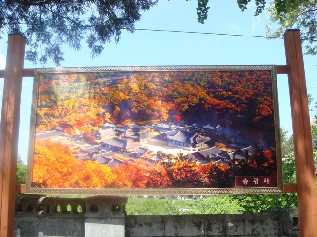 次に向かう松広寺。