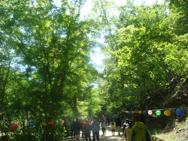 勝手に観光と思いきやキサニムがずっとついてきてくれました。<br /><br />キサニムの出身がこの近くだったらしく、昔は参道もこんなに整備されてなかったとおっしゃってました。<br /><br />入場は知人の名前を出して入れてもらってました。<br />私たちはもちろん入場券買いました。