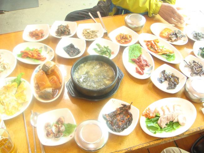 参道を降りて、昼食に向かいます。<br /><br />山菜韓定食。外のマダンで食べたので写真が白っぽくなってしまった。<br /><br />おかず20種類以上。ポッサムやさばの味噌煮もありました。1人前11000ｗ。<br /><br />キサニムがおかずの説明をしてくれました。<br /><br />左下のコマッという貝（日本でいう灰貝）が順天の名産です。冬はもっとおいしいけど今の季節はおいしくない。右中の若竹のあえものはむかしスラッサンに上がった料理だとのことでした。<br /><br />カムサハムニダ。<br />順天午後は後半に続きます。