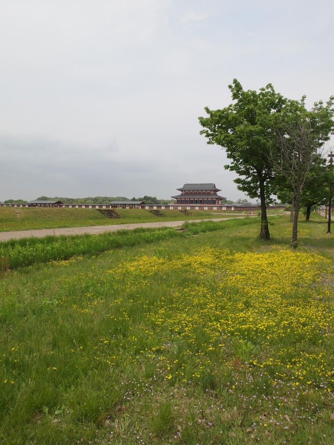 さて頑張って大極殿まで歩きます。