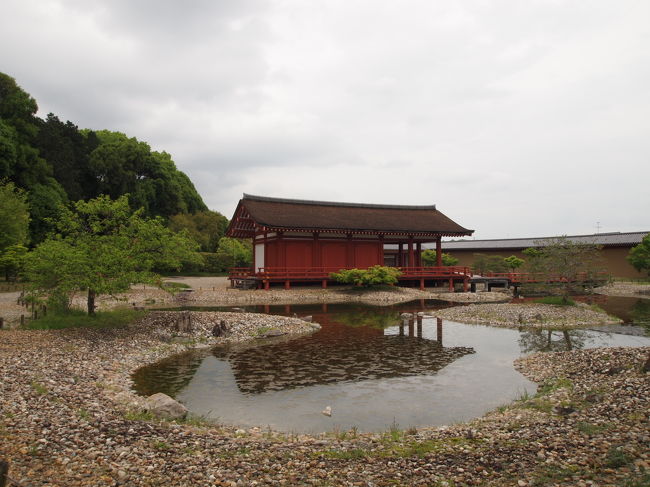 池は曲線が多く浅い。<br /><br />平城宮跡資料館HPより---<br />東院庭園の池は前期と後期の2時期に分けることが出来ます。前期の池は汀沿いの池底に大きな玉石を帯状に敷きつめていましたが、後期の池では池底から岸にかけて前面に小礫を敷き詰めた浅い池となっていました。池の形も前期の単純な逆Ｌ字形から、後期にはいくつもの入り江や出島をもつものに作り直されており、池の北岸には築山石組が新たにつくられました。奈良時代中頃の池のつくり替えにともない、建物も何度か建て替えられました。