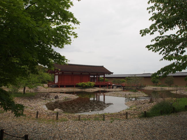 朱雀門にいたボランティアさんに聞きましたが、植栽も復原だそう。種や葉の遺体から当時植えられていた植物を予測できたとのことです。