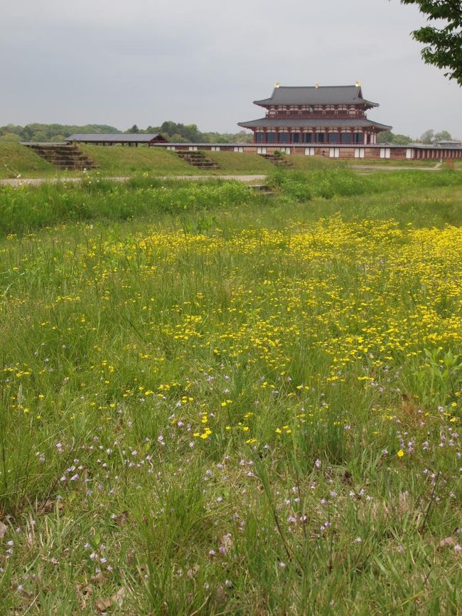 黄色く咲く花が綺麗。(たんぽぽではない。なんだろう)