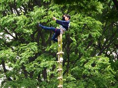 定禅寺通りでは、写真を撮ると新緑の並木が入るので、初夏の風物詩らしさが出てとってもいい感じになりますね。