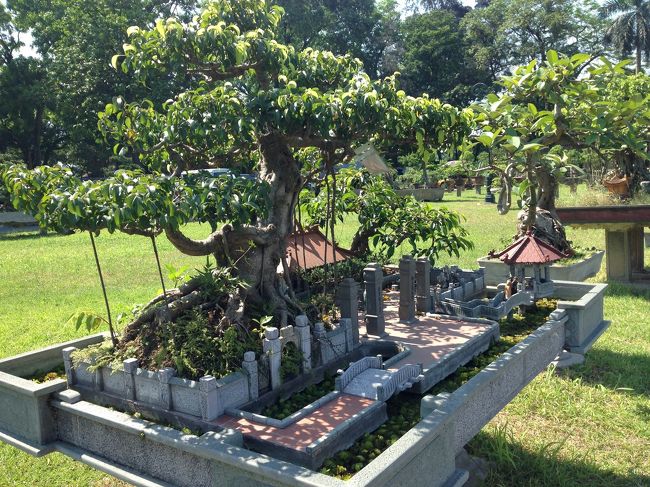 お庭にはベトナム式の盆栽が。<br />日本のものとの違いが面白いです。