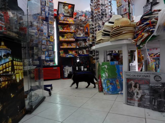 看板猫ちゃんのいる店でアイスを買い、食べ歩きながらドン・ルイス1世橋を渡ります。