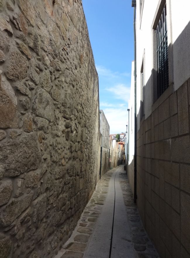 ワインセラーの裏通りを歩きながら、猫ちゃんを発見したり道に迷ったりしつつ、ポートワインの大手醸造元サンデマンのレセプションに到着。<br />休憩と寄り道が災いして、次のセラー見学の開始時間は45分後の夕方17:15〜。<br />これに１時間近く掛かると対岸のボルサ宮殿の見学が出来なくなってしまうので、残念ながらセラー見学は諦めました。<br />