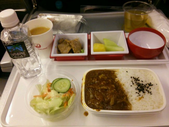 機内食はエコノミーです。<br />ハッシュドビーフ。