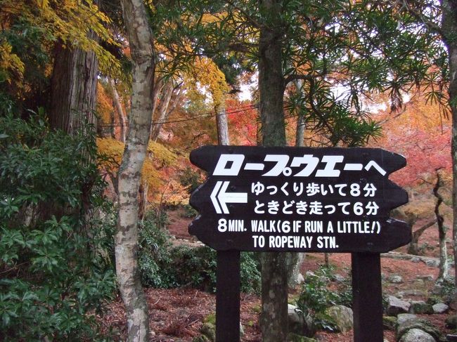 帰りがけに見つけた。<br /><br />「行きに見てたら、試したのに（笑）」