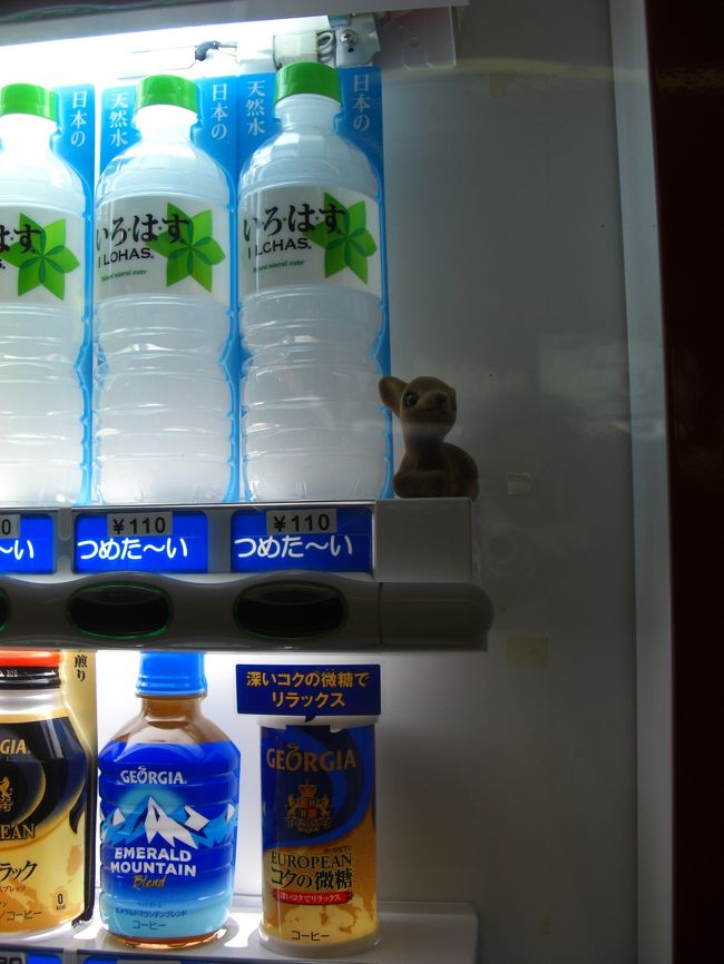 「あっ！鹿。」<br /><br />フェリー乗り場の自販機。