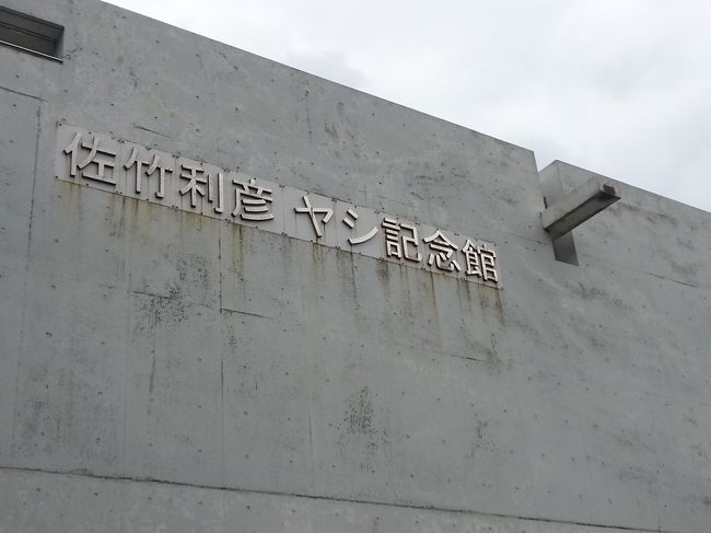 晴天なら島内１周を予定していましたが、曇り空なので川平湾を目指し半周し、途中、佐竹利彦ヤシ記念館に寄りました。