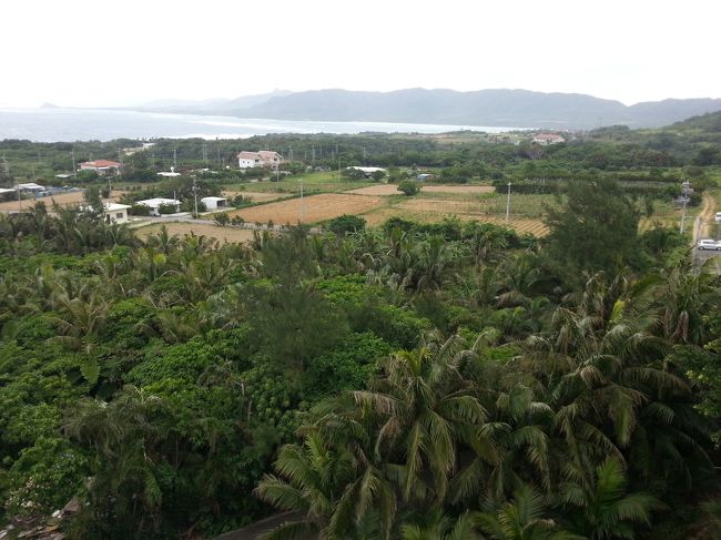 ヤシ記念館　屋上からの景色です。