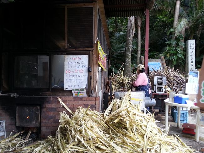 入口では、さとうきびを搾っています。