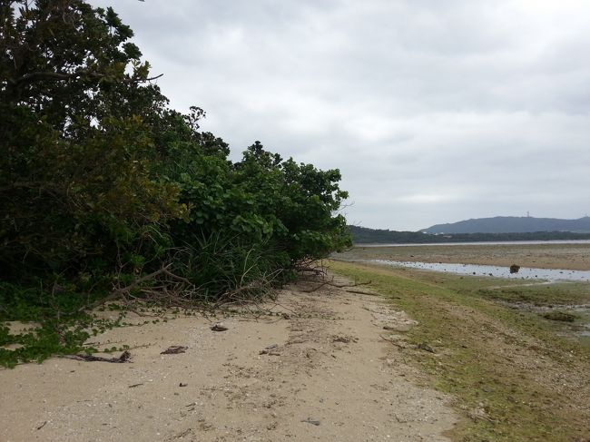 石垣焼窯元　前のビーチ