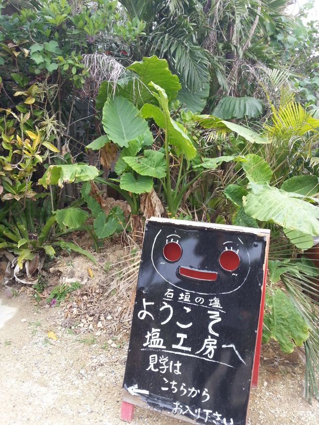 石垣の塩工房におじゃましました。カルビーのポテトチップスうす塩は石垣の塩が使われています。塩のなめ比べをし、まろやかでミネラル豊富なことを知り、購入。