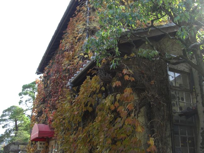 壁一面をツタで覆われた喫茶店。