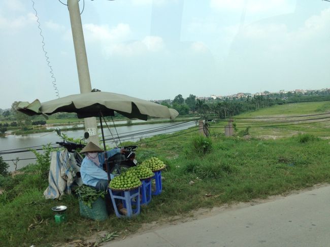 一杯になったお腹を抱えて、バッチャン村に向かいます。<br />途中、車窓から道端でグアバを売っているのを発見しました。