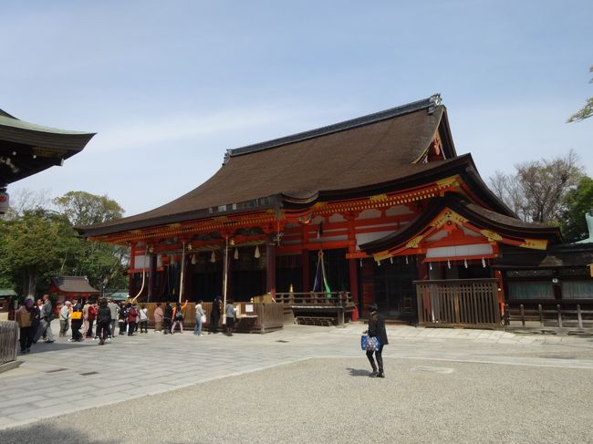 バスで近くまで行き<br /><br />最初は八坂神社へ。