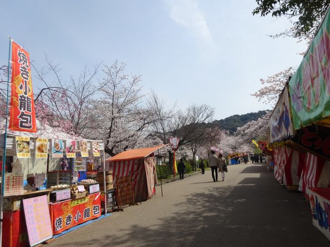 そしてそのまま<br /><br />丸山公園へ行き