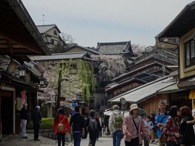 ここ来るまでにちょっと迷った･･･<br /><br />何故(？_？)