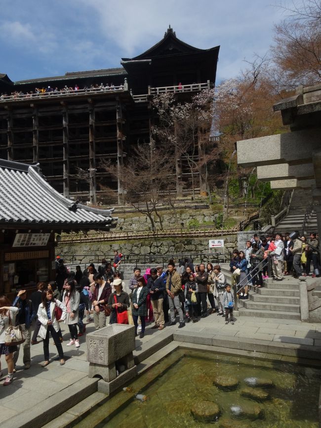 どんどんと行列が長くなって<br /><br />来てます。