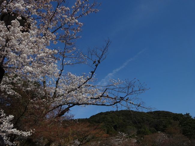 丸山公園に戻り〜