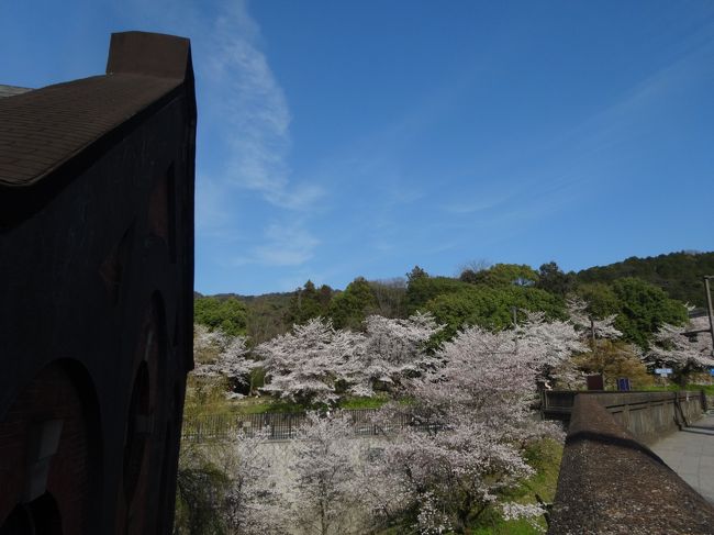 歩いてインクラインまで〜<br /><br />ヽ(´▽｀)/