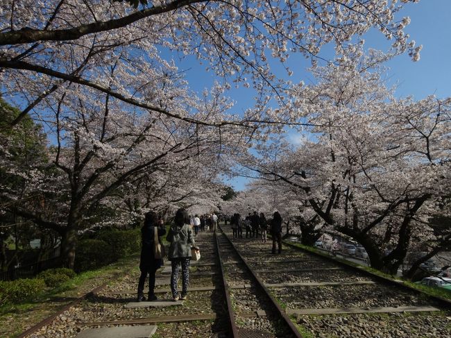 昨年ここ来た時は<br /><br />曇りだったけど<br /><br />今回は青空です(´∀｀)