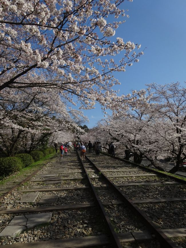 なので<br /><br />歩いてみました〜