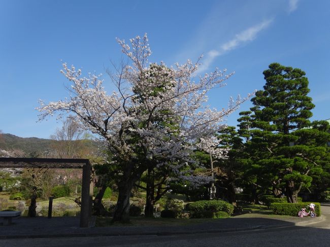 今回は美術館を見学。<br /><br />吉野弘さんの詩を書いてる絵があり<br /><br />改めてこの人の詩集が欲しくなり<br /><br />後に購入。