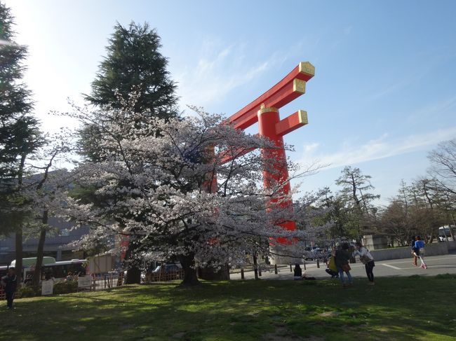 ここから帰るのも何だし･･･<br /><br />また出町柳まで行くバスに乗車。<br /><br />