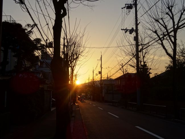 出町柳から歩いて<br /><br />帰宅。<br /><br />途中夕日が最高にキレイでした。