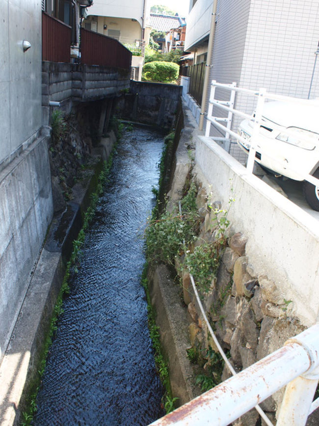 中島川に架かる橋廻り