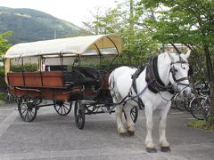 辻馬車もあります。
　