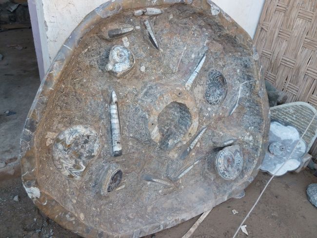 途中　アンモナイト　を売るお店に立ち寄りました<br />素朴なものと　大きなものが多かったです<br />お土産にできるちょうど良いサイズが　なかなかなかったです