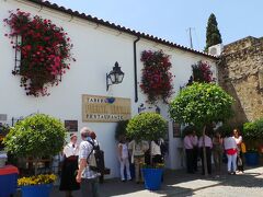 2日目の昼食はアルカサル付近のレストランでとりました。
Taberna Restaurante Puerta Sevilla タベルナ レスタウランテ プエルタ セビージャ
http://www.puertasevilla.com