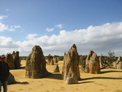 ピナクルズ（The Pinnacles）

パースの北245km、ナンバン国立公園（Nambung NP）内にあるピナクルズにやってきました。

砂漠から石柱が無数に林立する独特な風景は「荒野の墓標」とも呼ばれ、WA州で有名な観光スポットになっています。
