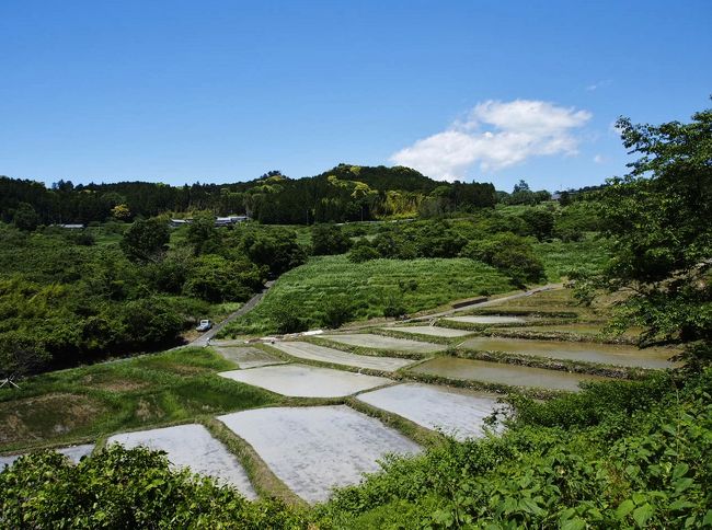 静岡の原風景 / 掛川・深山の里＆菊川・上倉沢棚田』牧之原(静岡県)の