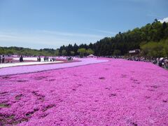 翌日は、富士芝桜まつりへ。
河口湖駅前から9:10発の芝桜ライナーに乗りましたが（片道1230円）、9:40に到着予定のところ、大渋滞で11:05頃にようやく到着しました。
入園料520円。