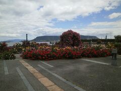 ということで、高松港にあるこちらの公園にやって来ました。
花真っ盛りとのことでした。