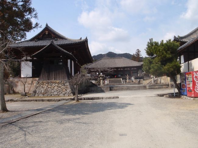 参拝客も少なく、文字通りガランとしていますね。<br /><br />奥に見えるのが本堂。その奥には二上山。<br /><br />こちらで本尊である曼荼羅を拝観。<br /><br />以前、東京の根津美術館で行われた曼荼羅展へ行ったことがあったのですが、お寺で見る曼荼羅は威圧感があります。<br /><br /><br />・・・ちょーっと薄暗くてよく見えませんでしたけどね。<br /><br />