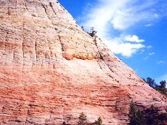 この公園は地層の研究をするのにも適しているらしい。その最たるものが左の写真の「チェッカーボード・メサ」という名前の巨岩。