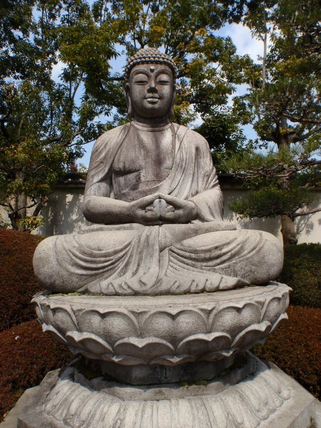 曼荼羅や、中将姫伝説で有名な當麻寺ですが、私には奥院の浄土庭園が一番楽しめました。