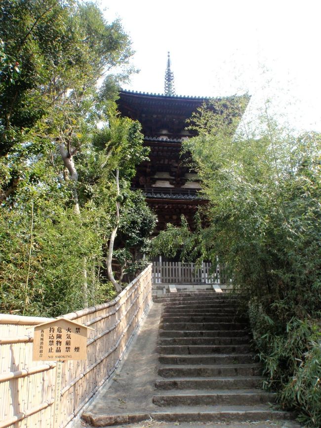 こちらは東塔。<br /><br />周囲に木が生い茂っていてうっそうとしています。<br /><br />こちらも修復しないのかなってちょっと心配するような状態でした。