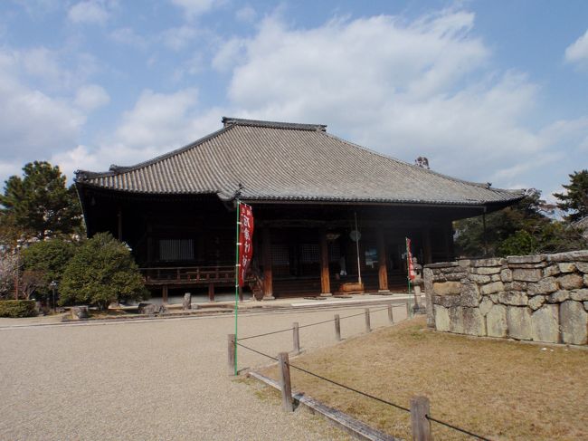 近鉄の大和西大寺駅は乗換でよく使いますが、初めて降りました。<br /><br />時間が40分くらいしかなくて不安だったのですが、駅からとても近くて良かった。<br /><br />こちらは西大寺の本堂。<br /><br />右の石垣は東塔跡。<br /><br /><br />で、本堂に入ってびっくり！！！<br /><br />なんと文殊菩薩がいらっしゃるではないか〜<br /><br />急に阿部文殊院へ行きたくなくなったのはこのためか！？<br /><br /><br /><br /><br /><br />